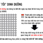 vat-chat-toi-trong-vu-tru-dinh-duong-chua-tung-duoc-biet-den-1-min