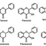 chat-chong-oxy-va-ung-dung-p2-cac-chat-chong-oxy-hoa-tu-nhien-1