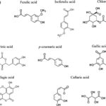 chat-chong-oxy-va-ung-dung-p2-cac-chat-chong-oxy-hoa-tu-nhien