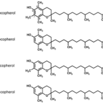 chat-chong-oxy-va-ung-dung-p2-cac-chat-chong-oxy-hoa-tu-nhien-2