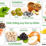 chat-chong-oxy-va-ung-dung-p2-cac-chat-chong-oxy-hoa-tu-nhien-3