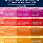 infographic-trieu-chung-khi-thieu-hut-tung-loai-vitamin-va-khoang-chat-1