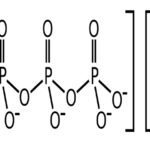 natri-triphosphat-hoa-chat-trong-nganh-cong-nghiep-che-bien-thit-002