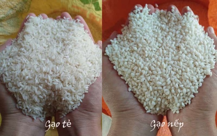 Rượu gạo Việt Nam cần những nguyên liệu nhất định để có thành phẩm hoàn hảo. Foodnk sẽ cùng bạn tìm hiểu nguyên liệu sản xuất rượu gạo...