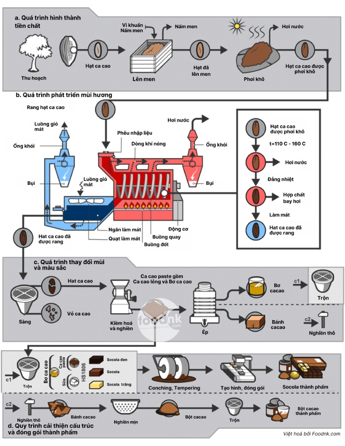 Quy trình sản xuất socola từ cacao thô khá phức tạp vì bao gồm nhiều công đoạn và công nghệ sản xuất hiện đại.
