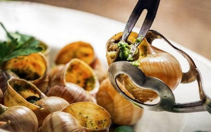 Món Escargot Bourgogne là một phần không thể thiếu của nước Pháp. Vậy Foodnk sẽ cùng bạn tìm hiểu rõ hơn món Escargot Bourgogne của Pháp...